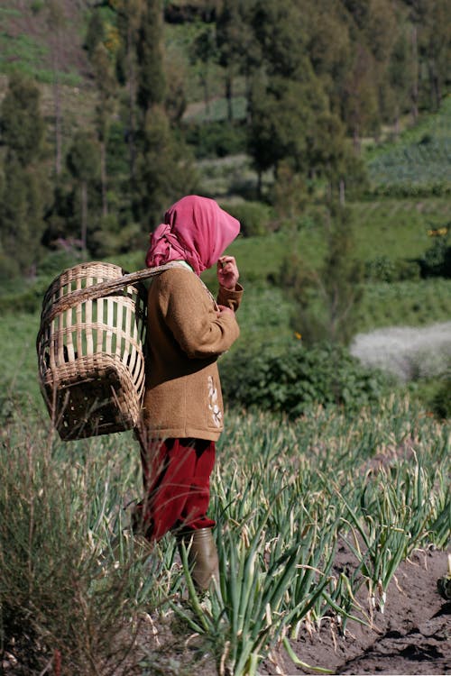 A Farmer Carrying Basket while Standing on a Cropland
