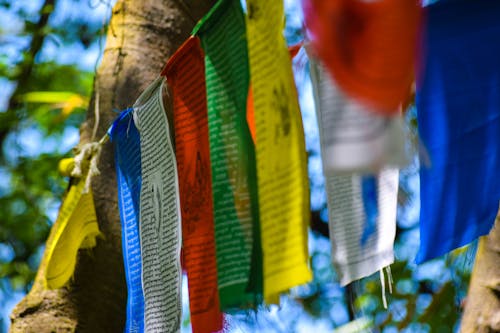 Free stock photo of buddhist, chants, flags