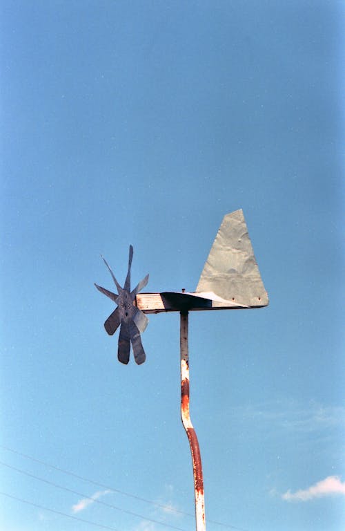 Бесплатное стоковое фото с вертикальный выстрел, ветер, крупный план