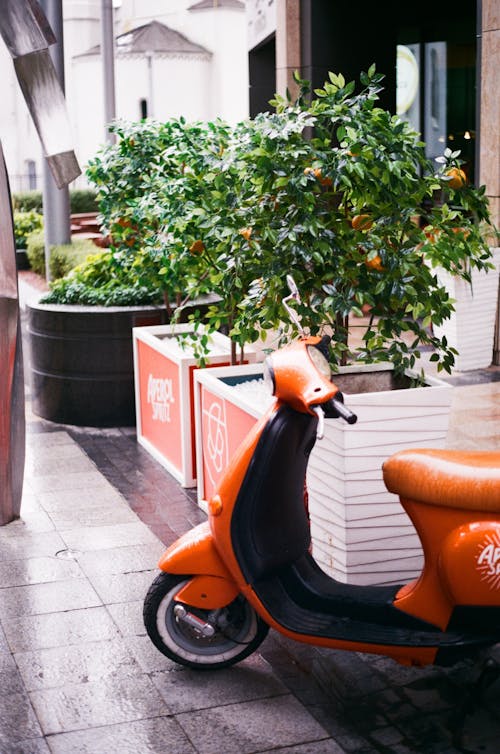 Darmowe zdjęcie z galerii z fotografia uliczna, pojazd, pomarańcza