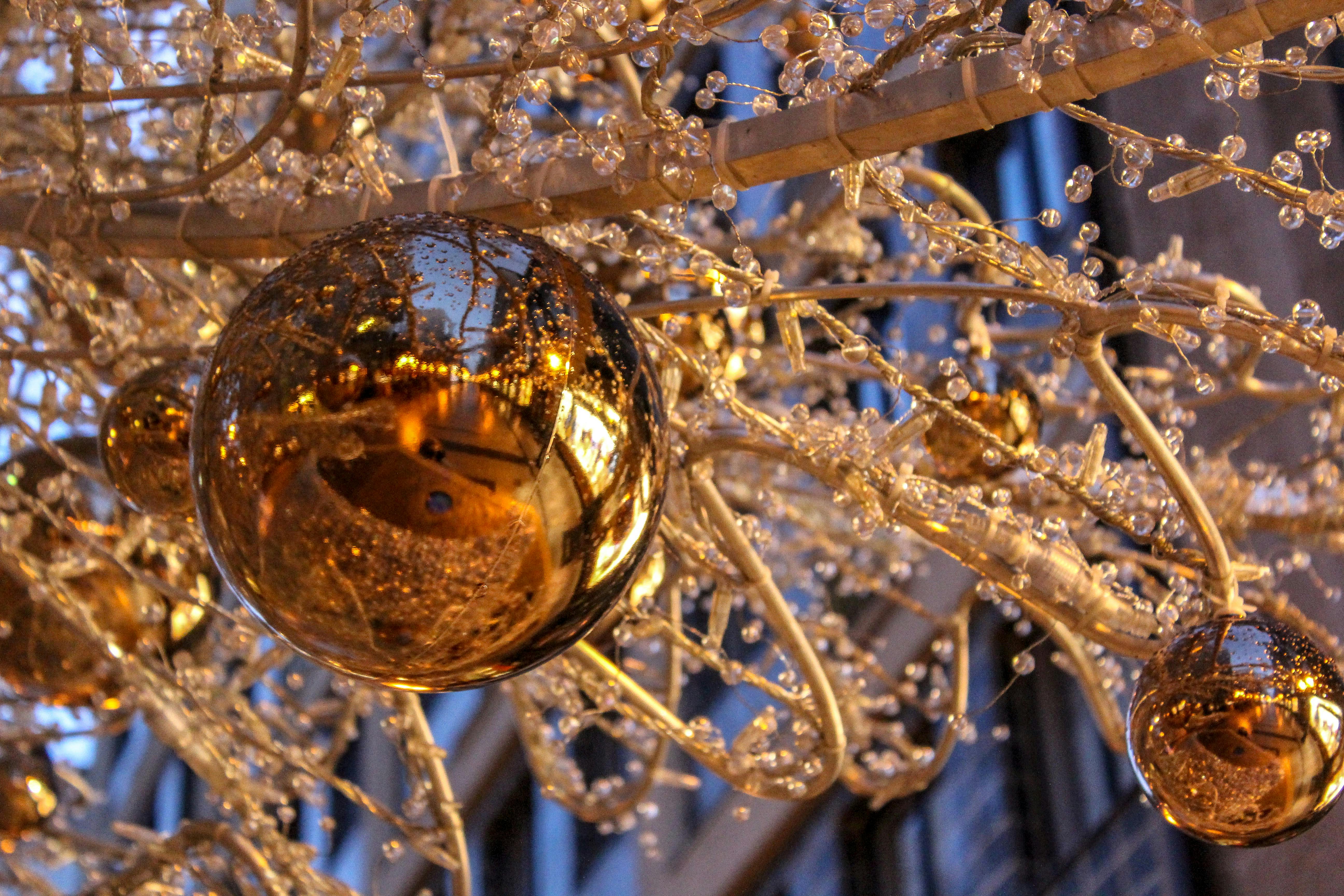 Free stock photo of #Christmas Tree#Budapest#Globe#Light