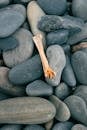 Brown Wood on Gray and Black Stones