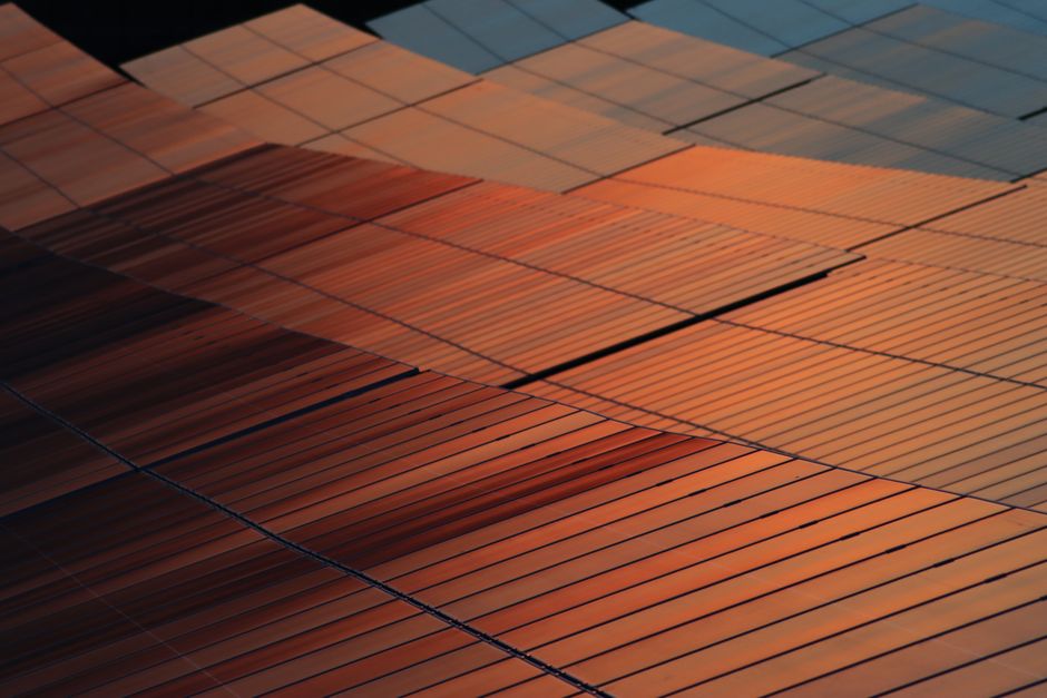 Beyond Templates: The Definitive Performance of Custom Web Architectures