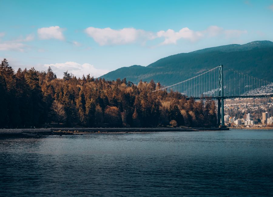 Scenic view of Lions Gate Bridge and Vancouver skyline, surrounded by trees and mountains.
