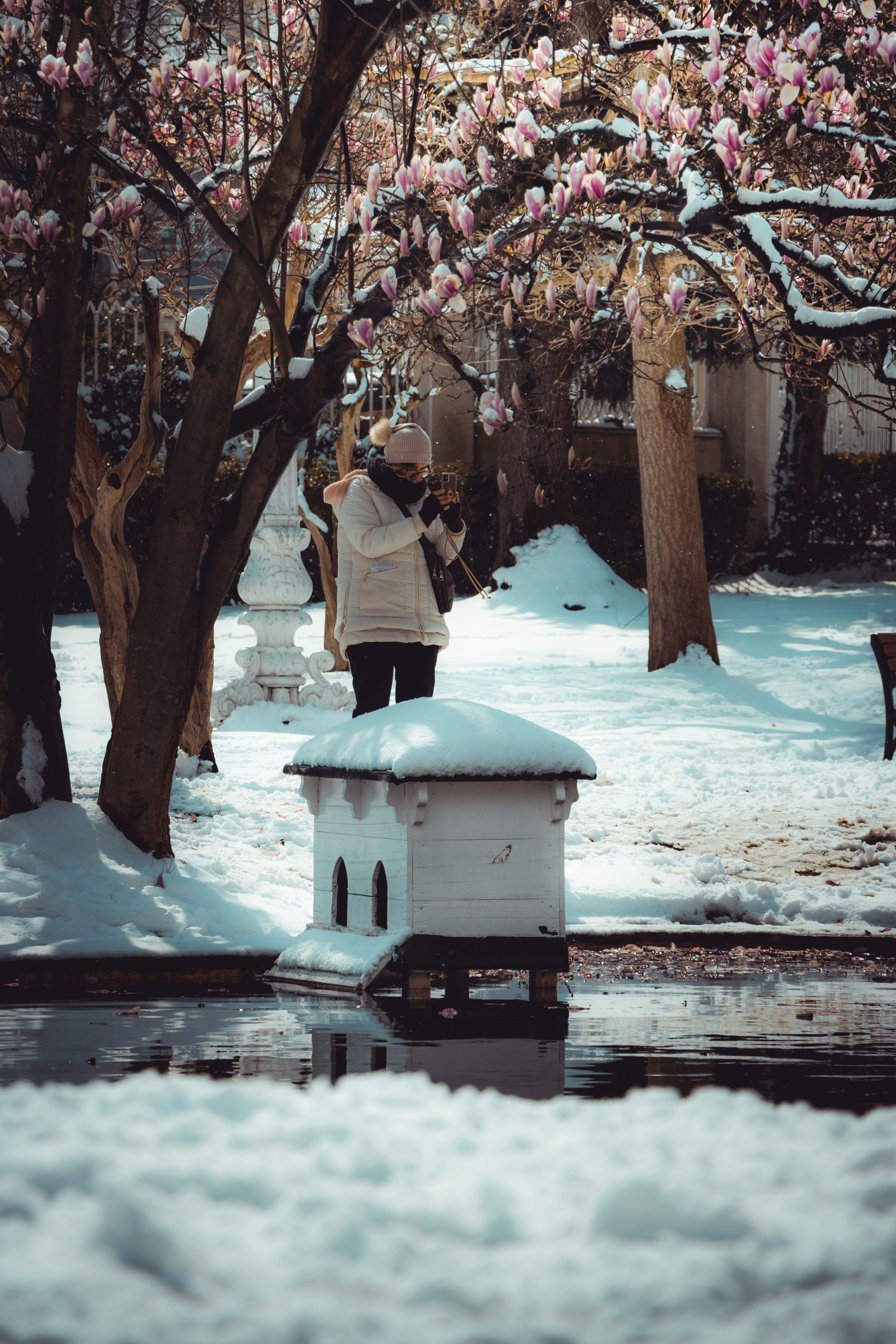 A woman stands in a snowy park, surrounded by blossoming trees, reflecting a serene winter scene.