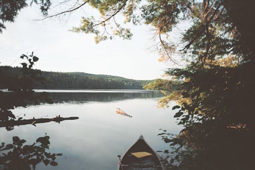 Wooden Boat on the Side of the Lake Near Green Trees