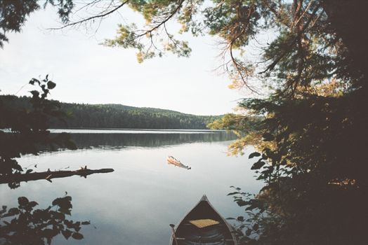 Serene scene of a wooden canoe on a tranquil lake in Algonquin Park, surrounded by lush trees.