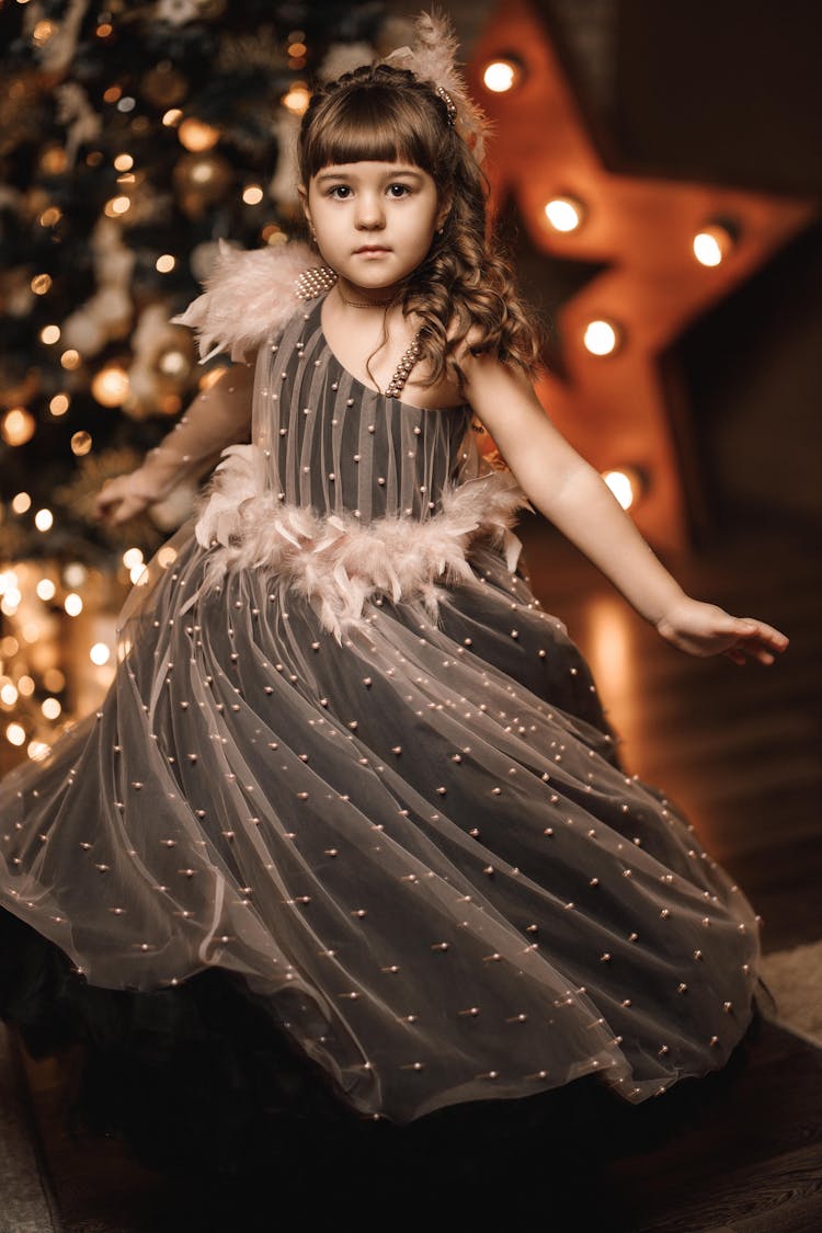 Girl In Dress For Christmas