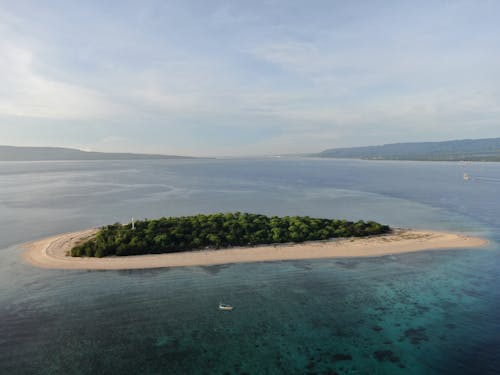 Green Trees on an Island