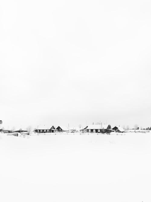 Snow Covered Houses