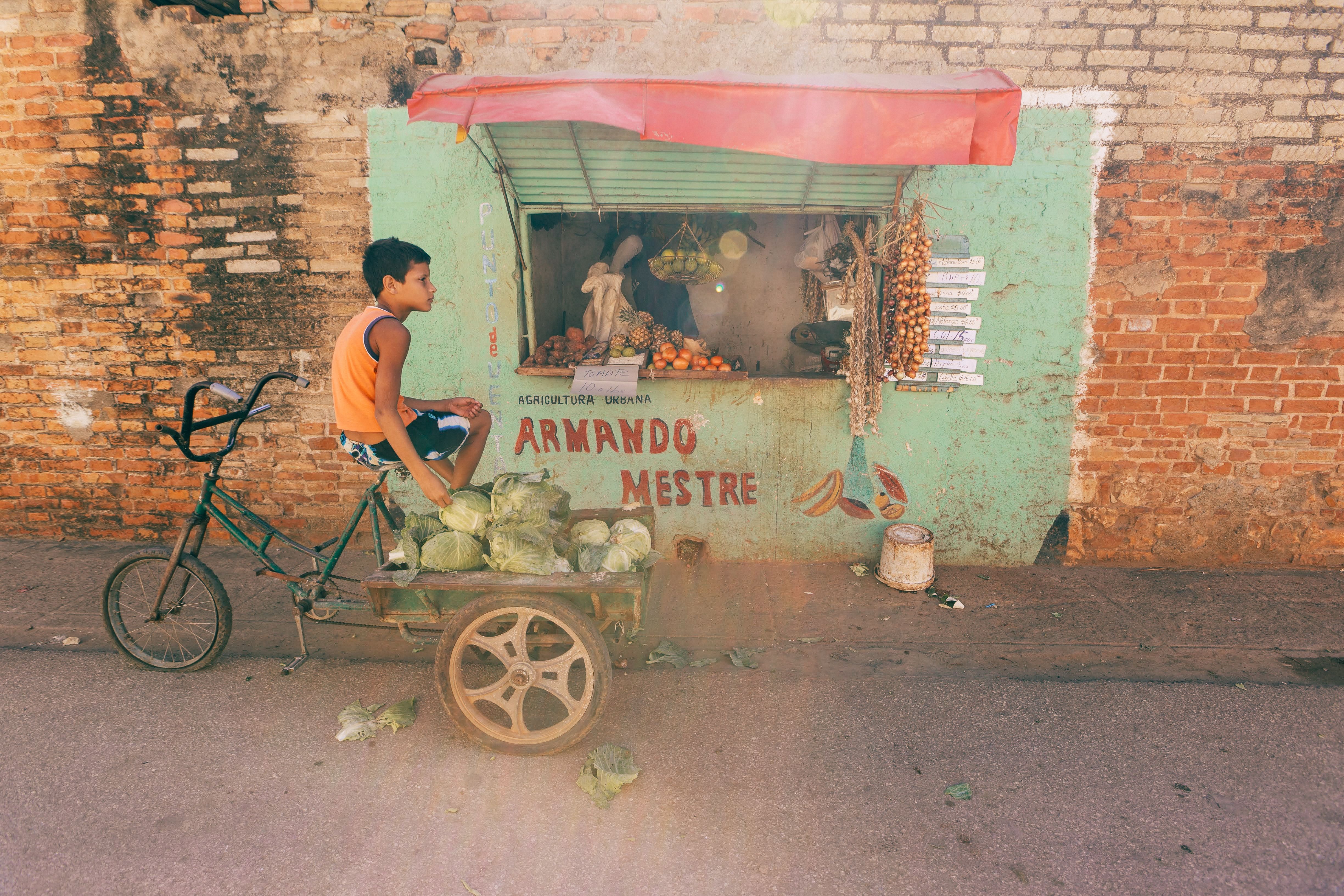 Roadside food stalls and produce stands at the junction town of San Pedro de Tutule, La Paz