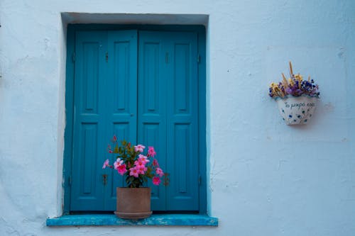 Photo of a Blue Window with Flowers