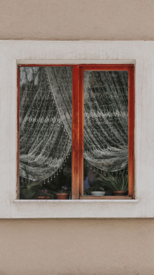 Free Close-up of a residential window with lace curtains and indoor plants. Stock Photo
