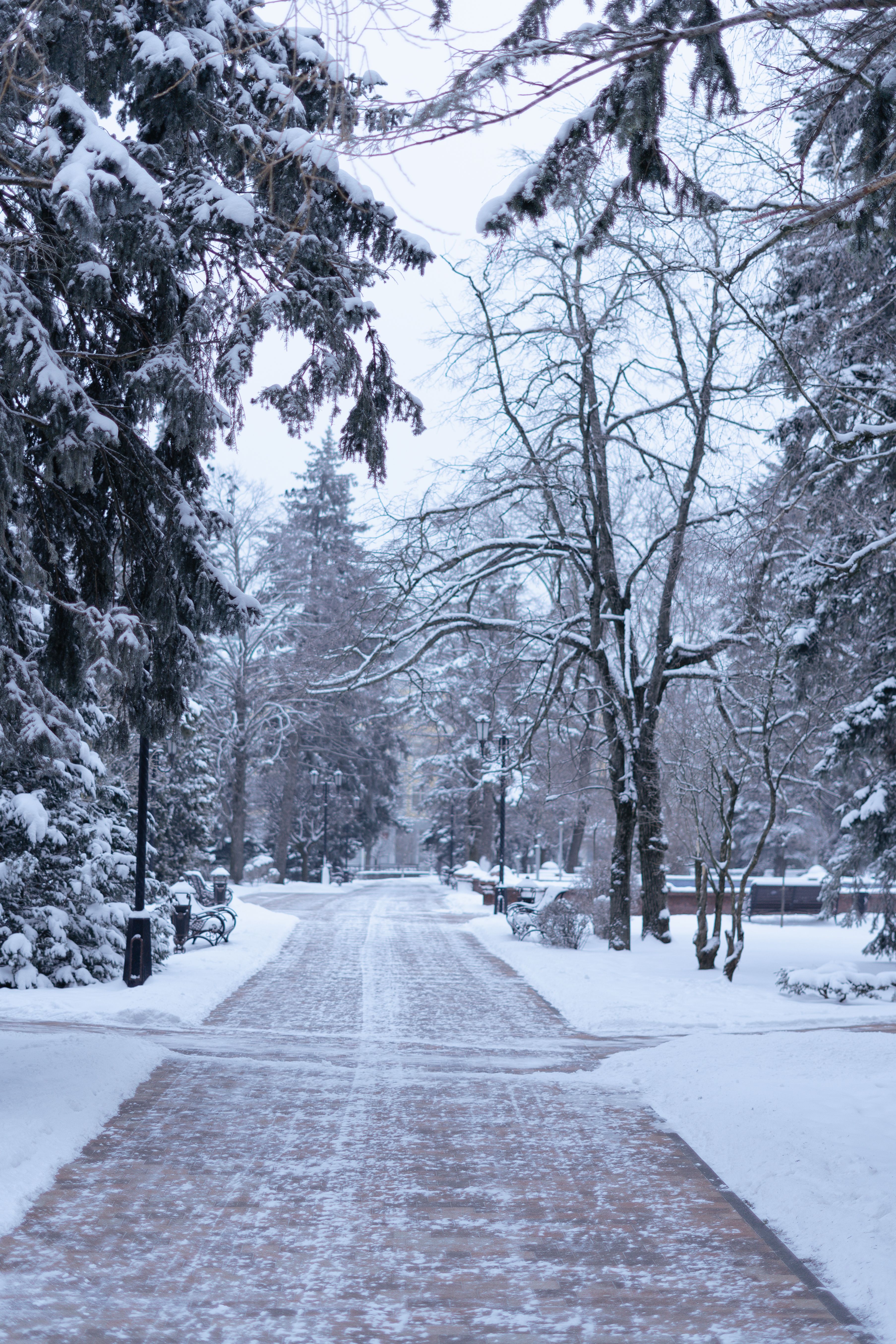 Park in Winter · Free Stock Photo