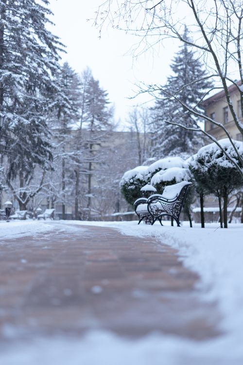 Free Snow-covered park benches line a serene pathway in a peaceful winter landscape, evoking calm. Stock Photo
