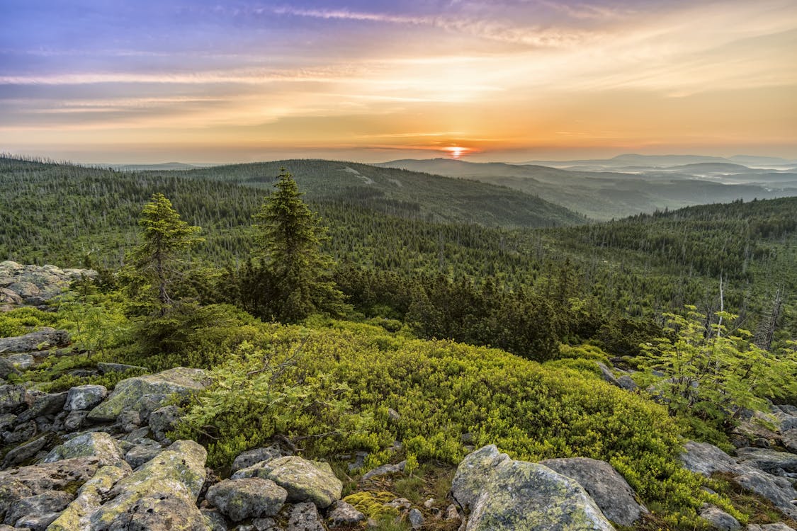 Imagine de stoc gratuită din apus, arbori, cer