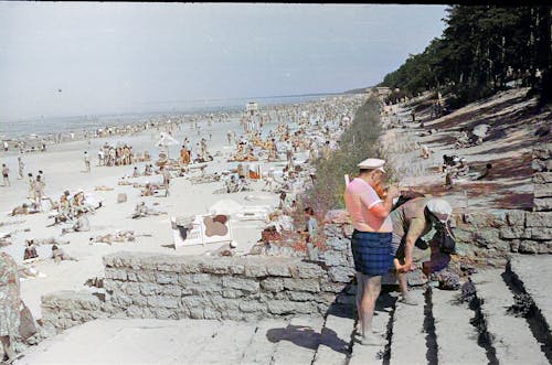 Foto profissional grátis de areia, árvores, beira-mar