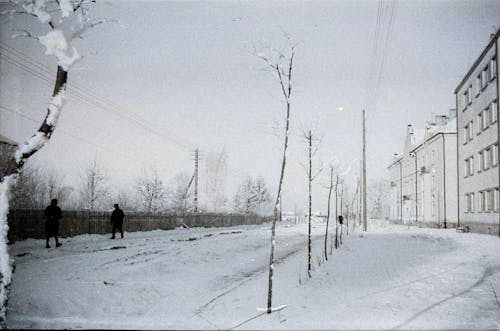 Gratis stockfoto met kou, sneeuw, stedelijk