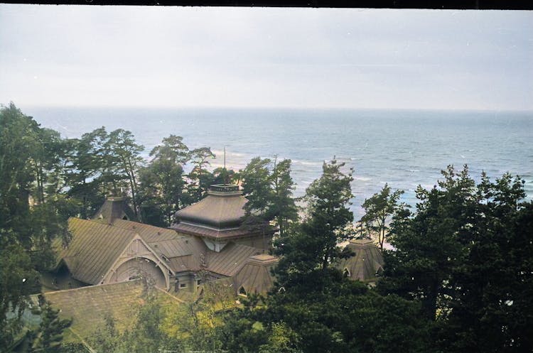 Sea, Trees And Rooftop Landscape