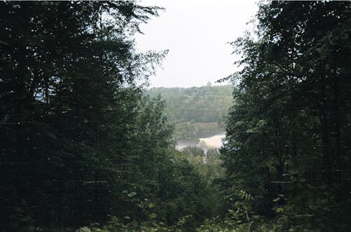 Kostenloses Stock Foto zu bäume, fluss, landschaft