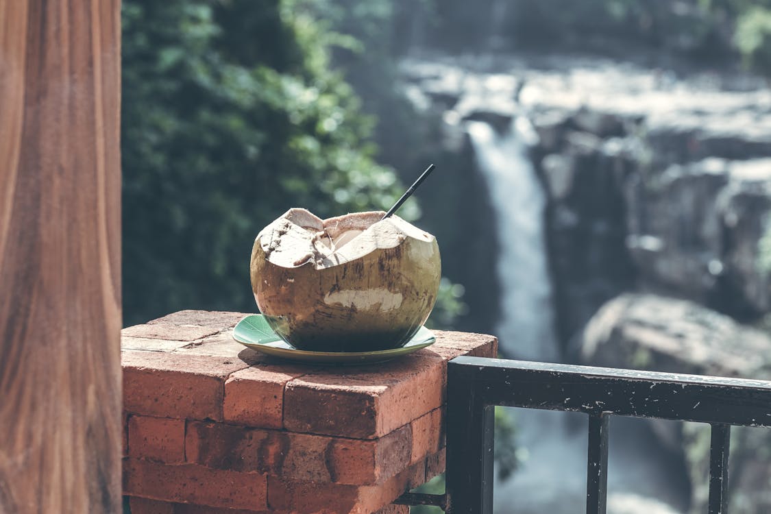 Air kelapa (Foto: Pexels/Artem Beliaikin)