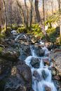 Small waterfall in the Glen Nevis Valley
