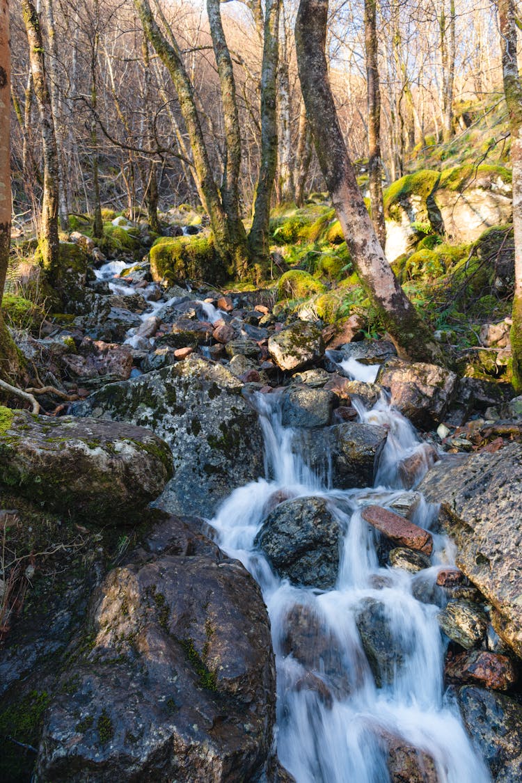 Small Waterfall In The Glen Nevis Valley 