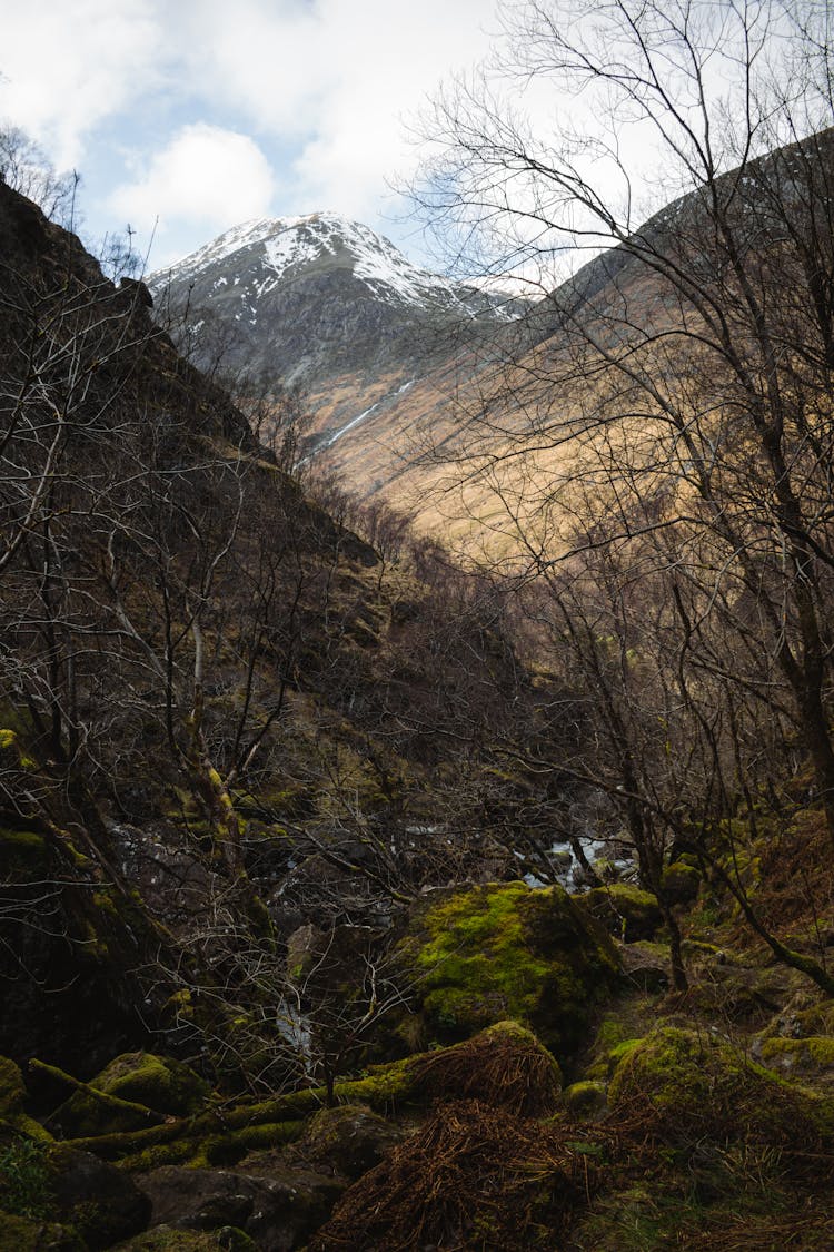 Glen Nevis Valley During The Winter