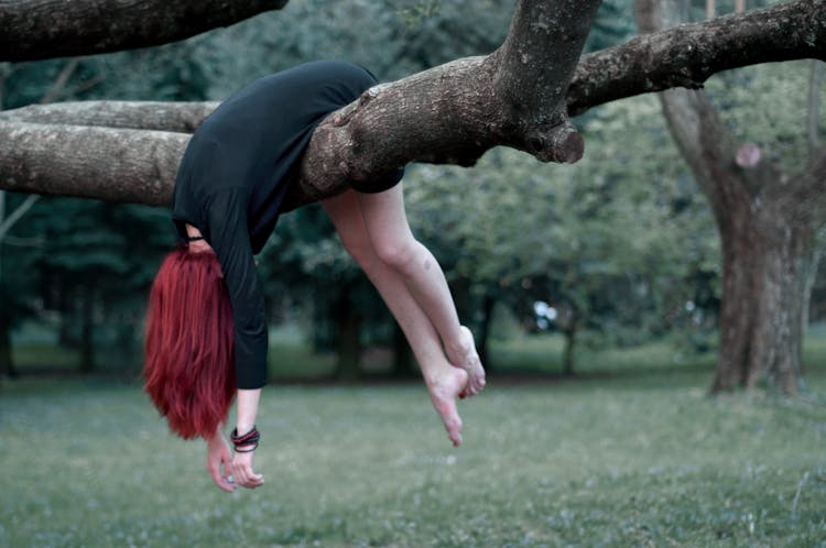 Woman Hanging On Tree Branch Outdoors