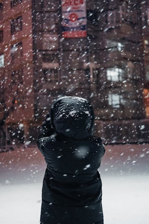下雪, 下雪的, 人 的 免費圖庫相片