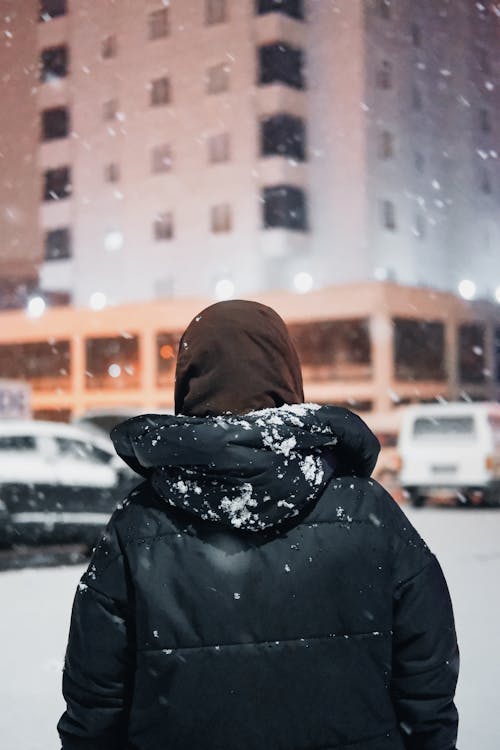 下雪, 下雪的, 人 的 免費圖庫相片