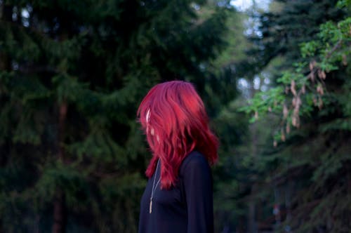 Free stock photo of forest, girl, redhead