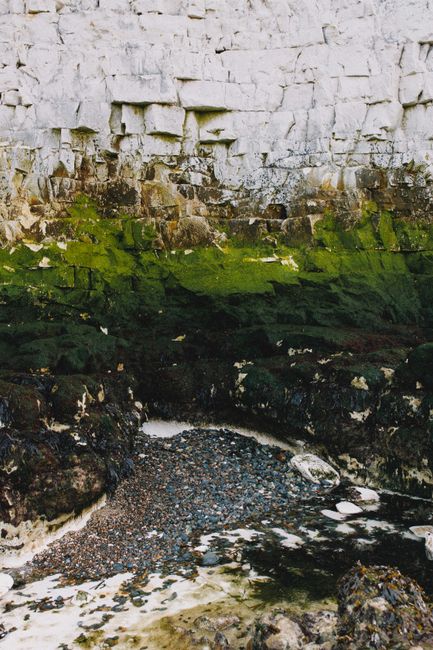 Vibrant green moss on coastal cliffs contrasting with rocky shoreline and ocean waves.