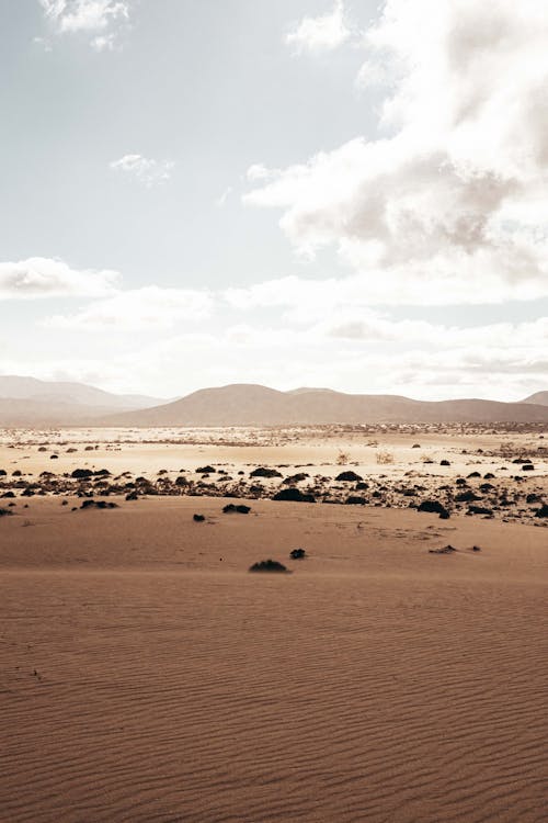 View of a Desert