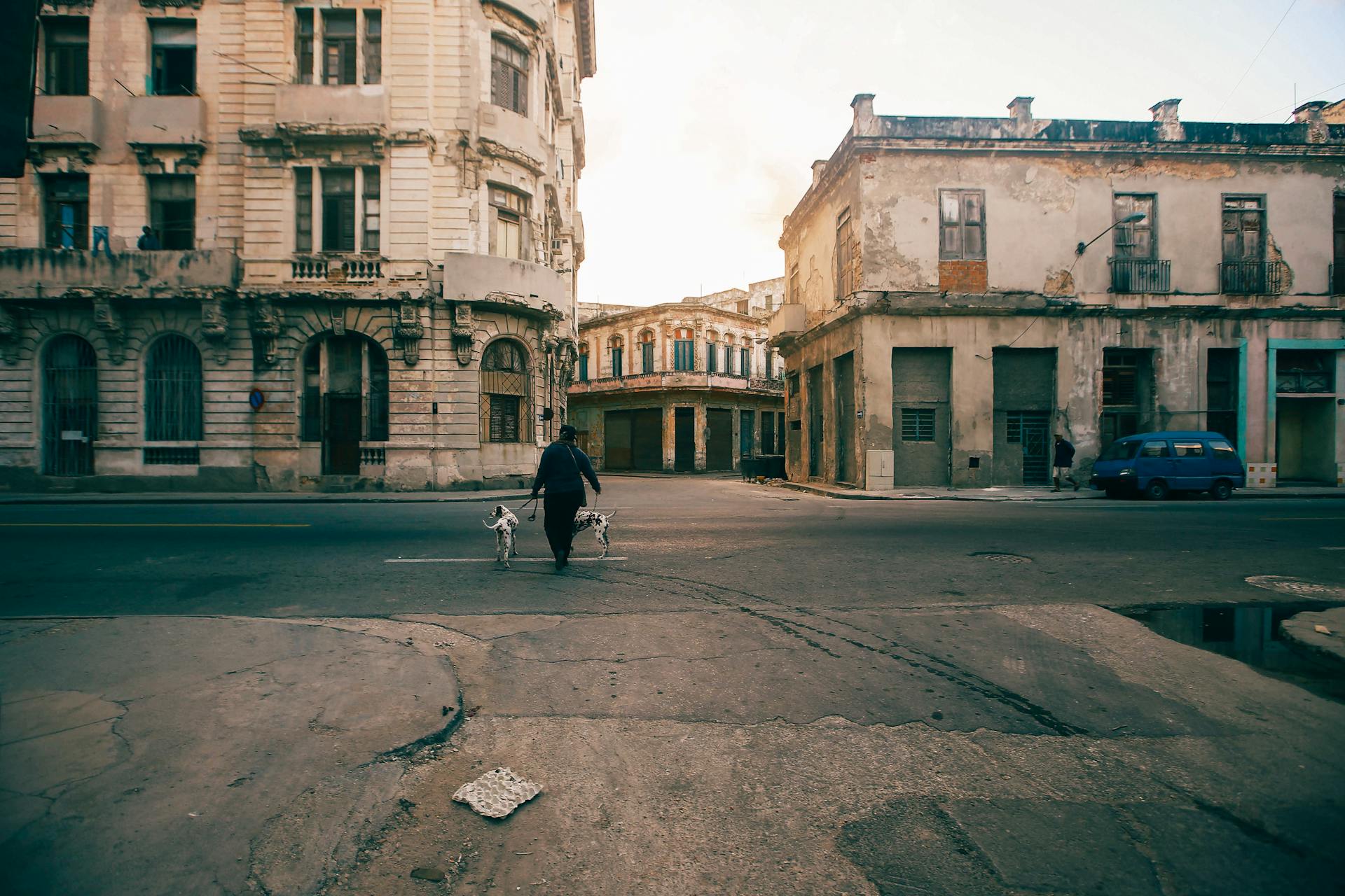 Woman with Dogs on Street