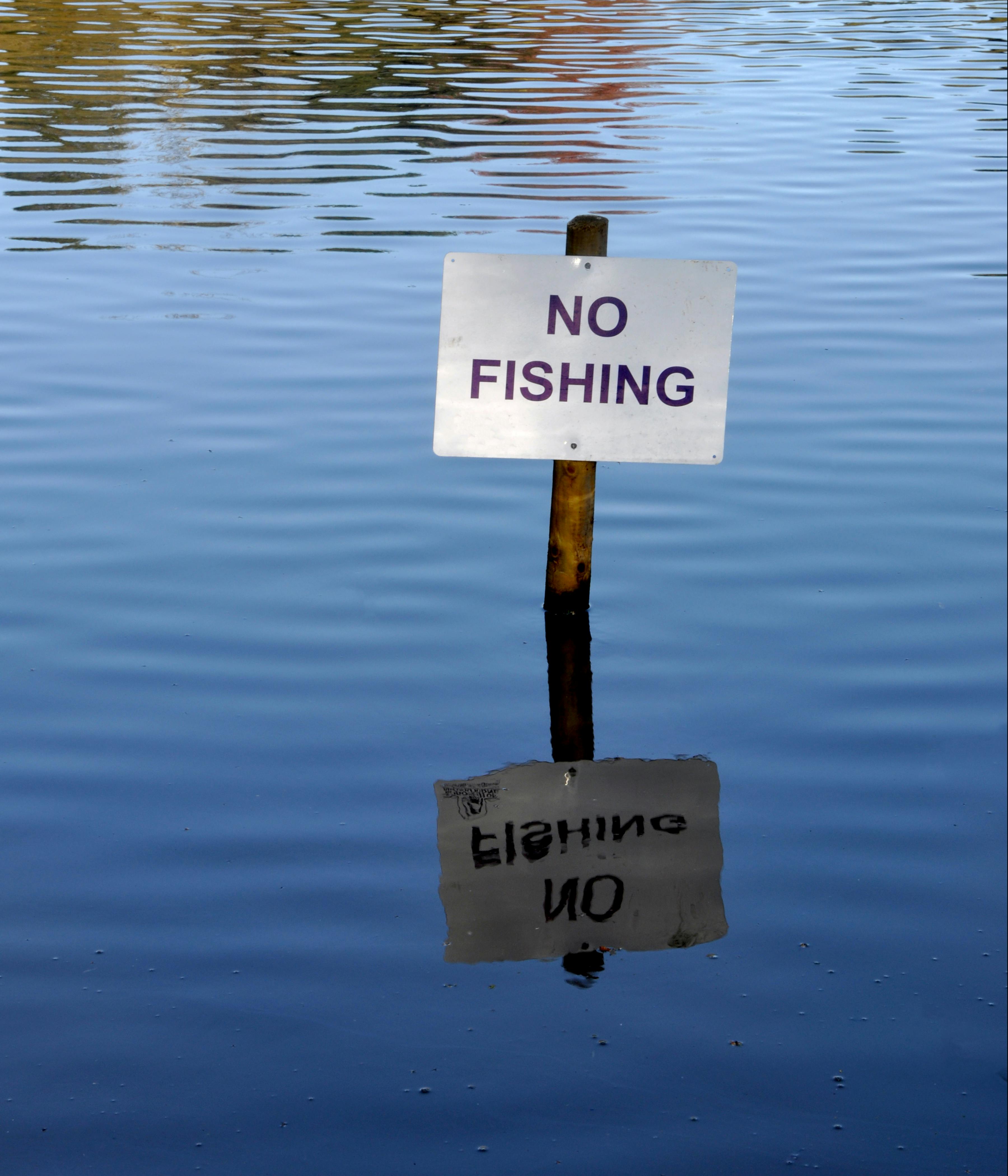 288 No Fishing Sign Stock Photos, High-Res Pictures, and Images