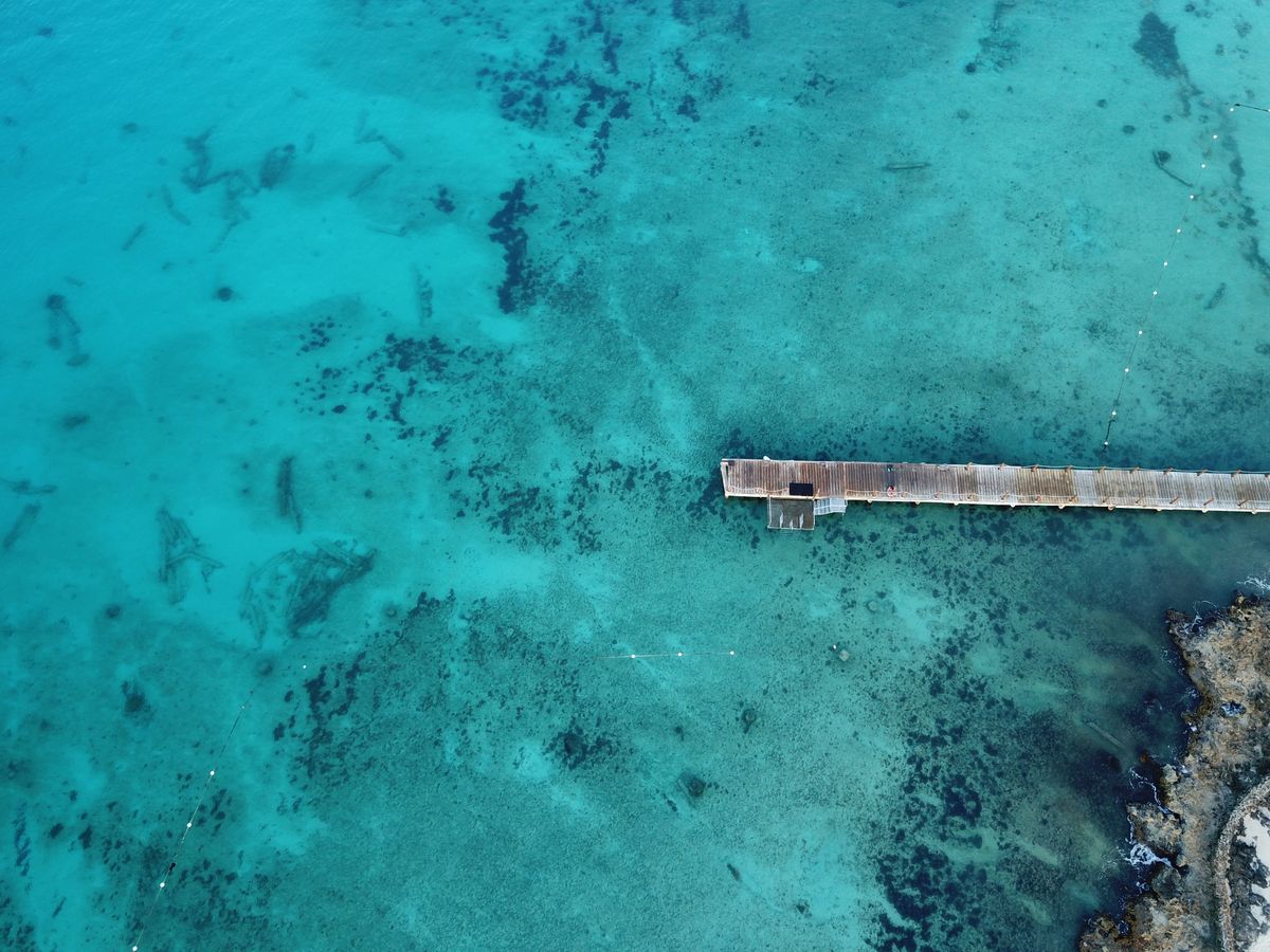 Toma aérea impresionante de un muelle extendiéndose hacia el Mar Caribe turquesa en República Dominicana