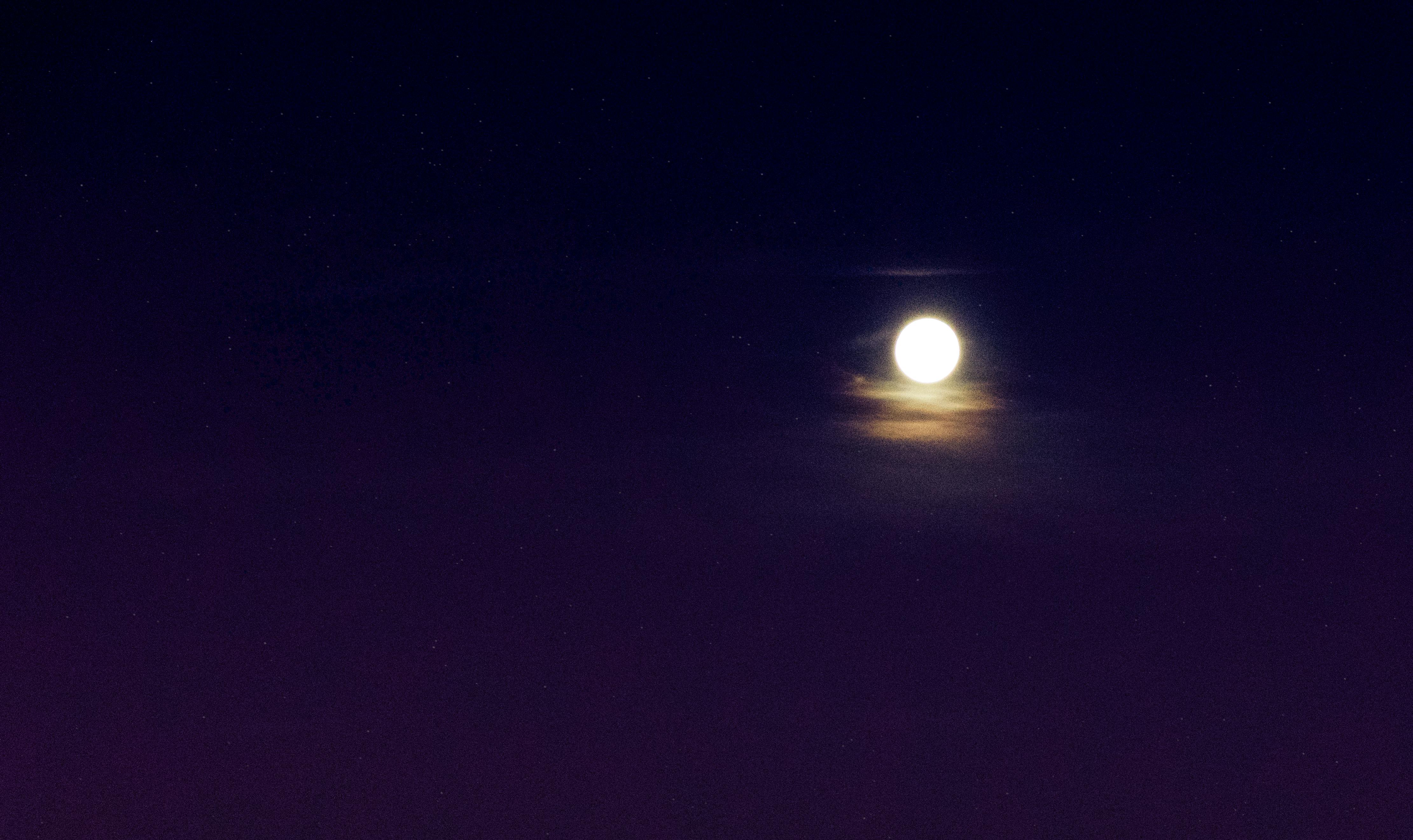 夜間 満月の無料の写真素材