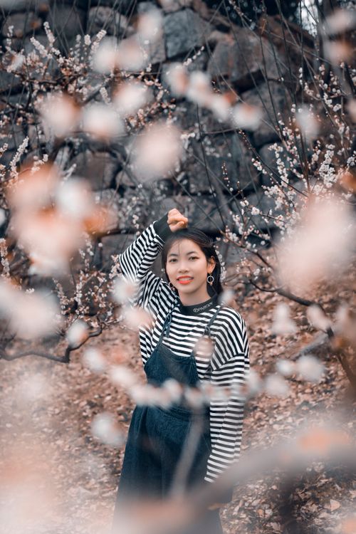 Free A young woman smiles amidst blooming cherry blossoms, capturing the essence of spring beauty outdoors. Stock Photo