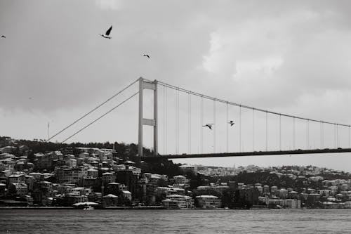 Grayscale Photo of Bridge over Body of Water