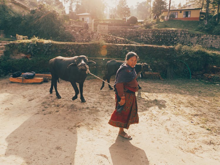 Woman With Bull On String