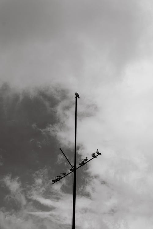 Free Black Wind Turbines Under Cloudy Sky Stock Photo