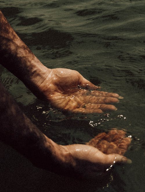 Foto profissional grátis de água, mãos, molhado