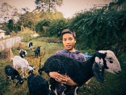 Free A young boy holds a goat surrounded by a rural landscape with other goats present. Stock Photo