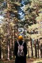 Unrecognizable Person Looking up at Tree Tops of Pine Forest
