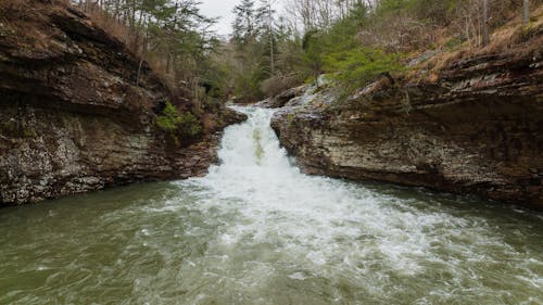 Gratis stockfoto met h2o, kreek, natuur