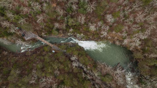 Безкоштовне стокове фото на тему «Аерофотозйомка, вода, дерево топи»