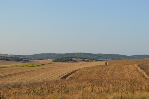 Darmowe zdjęcie z galerii z pola rolnicze, pola uprawne, wiejski