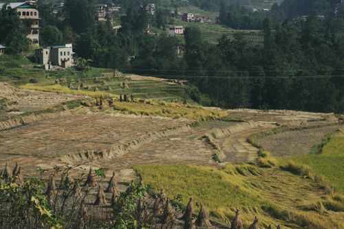 Free Panoramic view of rural farmland with harvested fields and people working under sunny skies. Stock Photo