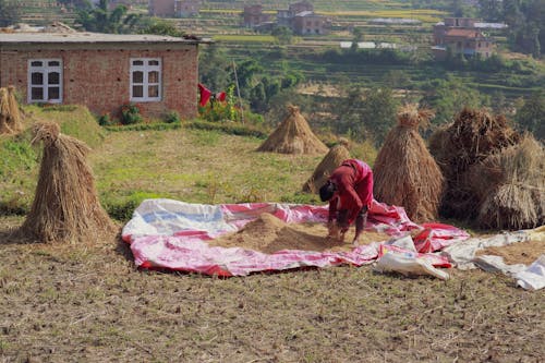 Woman Working on a Field 